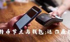 深入理解比特币节点与钱