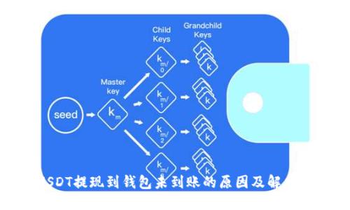 : USDT提现到钱包未到账的原因及解决方案