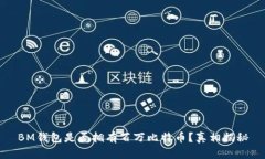BM钱包是否拥有百万比特币