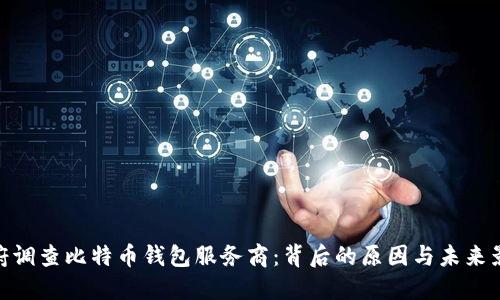 政府调查比特币钱包服务商：背后的原因与未来影响