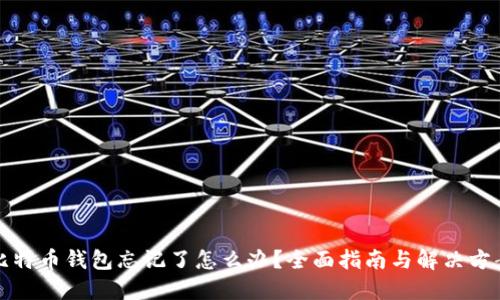 比特币钱包忘记了怎么办？全面指南与解决方案