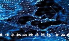 如何选择最佳手机比特币