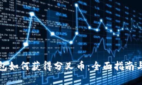 比特币钱包如何获得分叉币：全面指南与实用建议