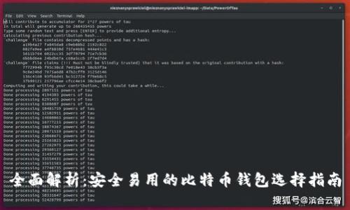 全面解析：安全易用的比特币钱包选择指南