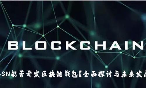 BSN能否开发区块链钱包？全面探讨与未来发展