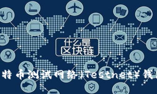 如何使用比特币测试网络（Testnet）钱包：全面指南
