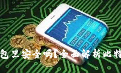 比特币下载到钱包里安全吗？全面解析比特币钱包的安全性