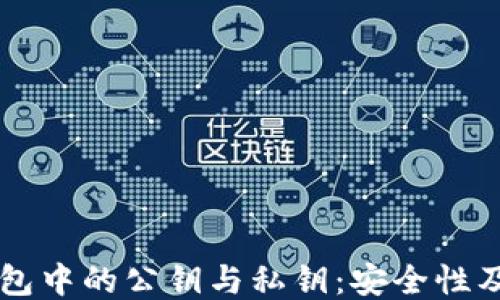 
区块链钱包中的公钥与私钥：安全性及使用指南