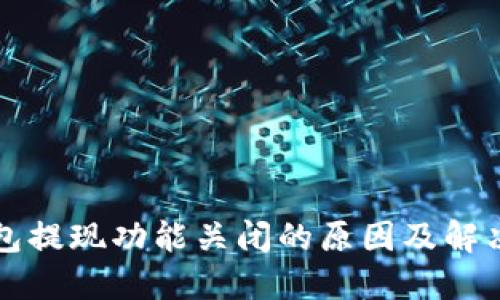 以太坊钱包提现功能关闭的原因及解决方案详解