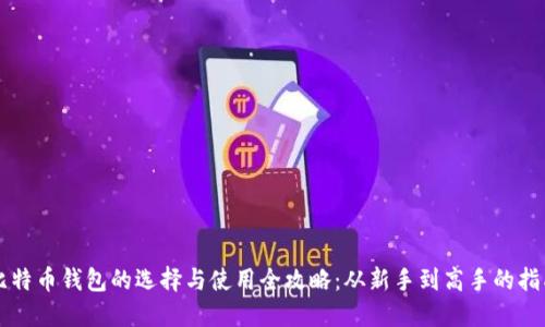 比特币钱包的选择与使用全攻略：从新手到高手的指南