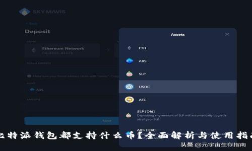 比特派钱包都支持什么币？全面解析与使用指南