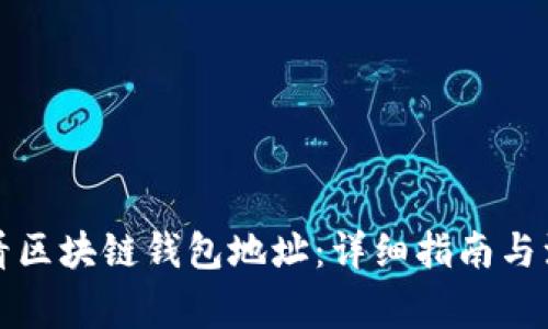 如何查看区块链钱包地址：详细指南与注意事项