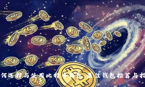 如何选择与使用比特币钱包：最佳钱包推荐与指南