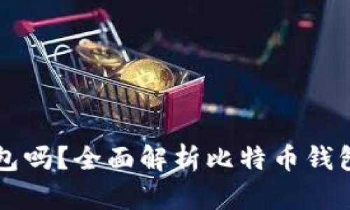 比特币必须用钱包吗？全面解析比特币钱包的重要性与类型