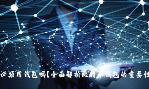 比特币必须用钱包吗？全面解析比特币钱包的重要性与类型