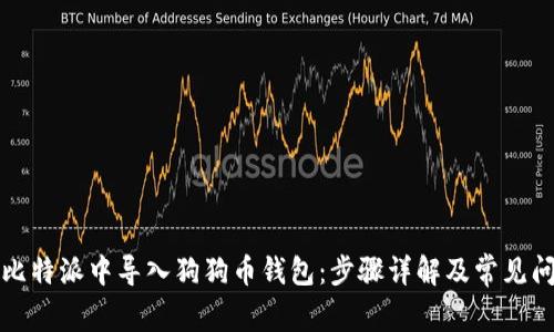 如何在比特派中导入狗狗币钱包：步骤详解及常见问题解答