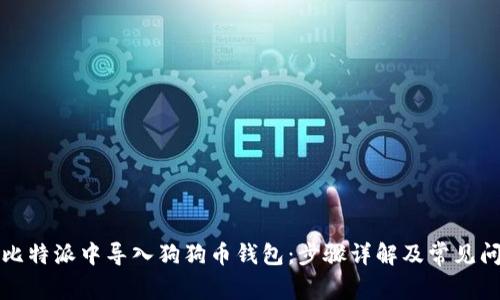 如何在比特派中导入狗狗币钱包：步骤详解及常见问题解答
