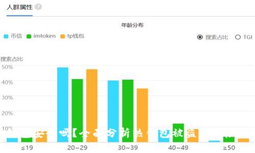 比特币热钱包安全吗？全面分析热钱包被盗的风险与防范措施