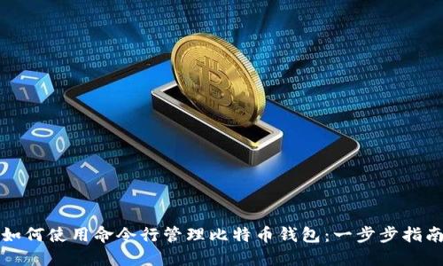 如何使用命令行管理比特币钱包：一步步指南