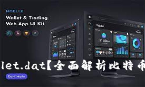 什么是比特币钱包 wallet.dat？全面解析比特币钱包的功能和使用技巧