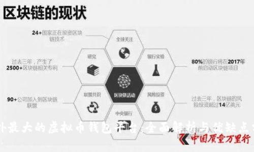 国外最大的虚拟币钱包平台：全面解析与优缺点分析