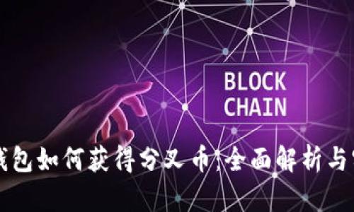 比特币钱包如何获得分叉币：全面解析与实用指南