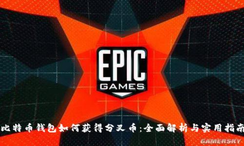 比特币钱包如何获得分叉币：全面解析与实用指南