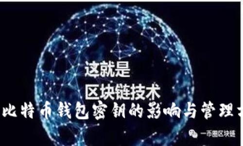 2010年比特币钱包密钥的影响与管理方法解析