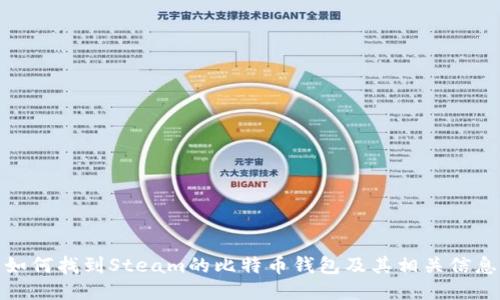 如何找到Steam的比特币钱包及其相关信息