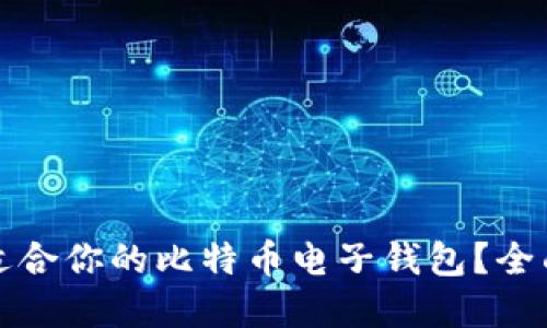 如何选择最适合你的比特币电子钱包？全面指南与推荐