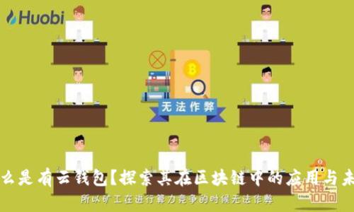 什么是有云钱包？探索其在区块链中的应用与未来