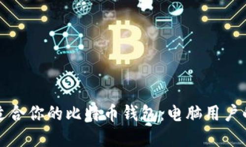 如何选择适合你的比特币钱包：电脑用户的全面指南