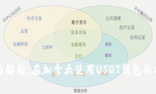 全面解析：在加拿大使用USDT钱包的指南