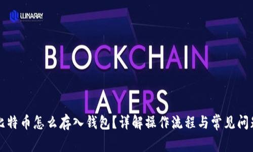 比特币怎么存入钱包？详解操作流程与常见问题
