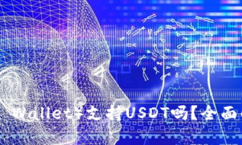 极客钱包（Geek Wallet）支持USDT吗？全面解析及使用指南