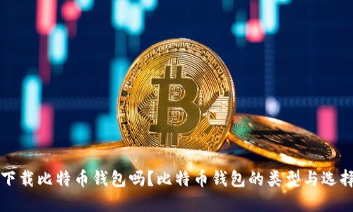 必须下载比特币钱包吗？比特币钱包的类型与选择指南