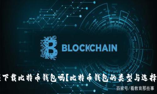 必须下载比特币钱包吗？比特币钱包的类型与选择指南