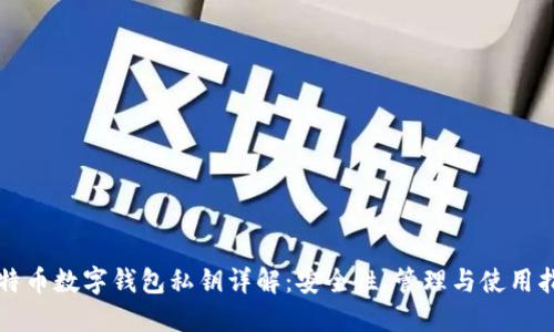 比特币数字钱包私钥详解：安全性、管理与使用指南