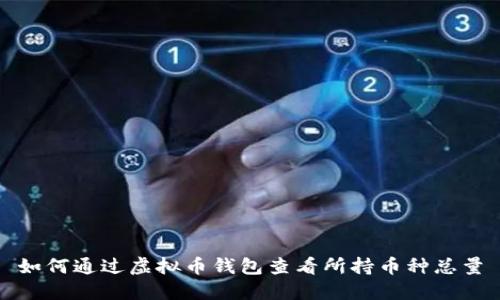 如何通过虚拟币钱包查看所持币种总量