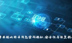 中本聪比特币钱包密码揭秘：安全性与恢复指南
