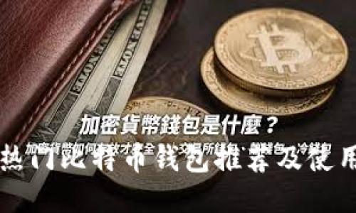 国外热门比特币钱包推荐及使用指南