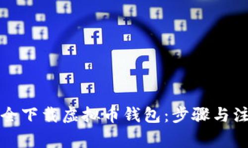 如何安全下载虚拟币钱包：步骤与注意事项