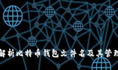 全面解析比特币钱包文件