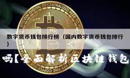区块链钱包是骗局吗？全面解析区块链钱包的安全性与可靠性