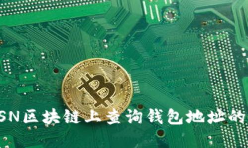如何在BSN区块链上查询钱包地址的详细指南