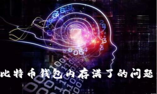 如何解决比特币钱包内存满了的问题：全面指南