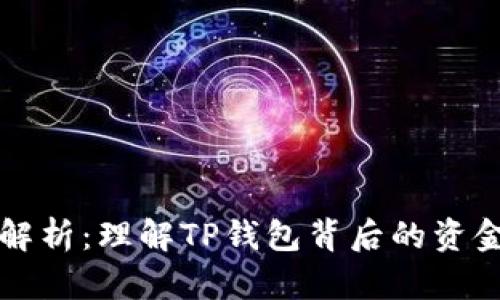 TP钱包投资方全解析：理解TP钱包背后的资金支持与市场布局