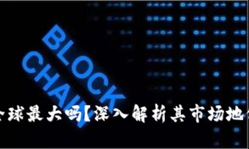 TP钱包真的全球最大吗？深入解析其市场地位与竞争优势