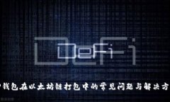 TP钱包在以太坊链打包中的常见问题与解决方案