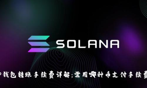 TP钱包转账手续费详解：需用哪种币支付手续费？